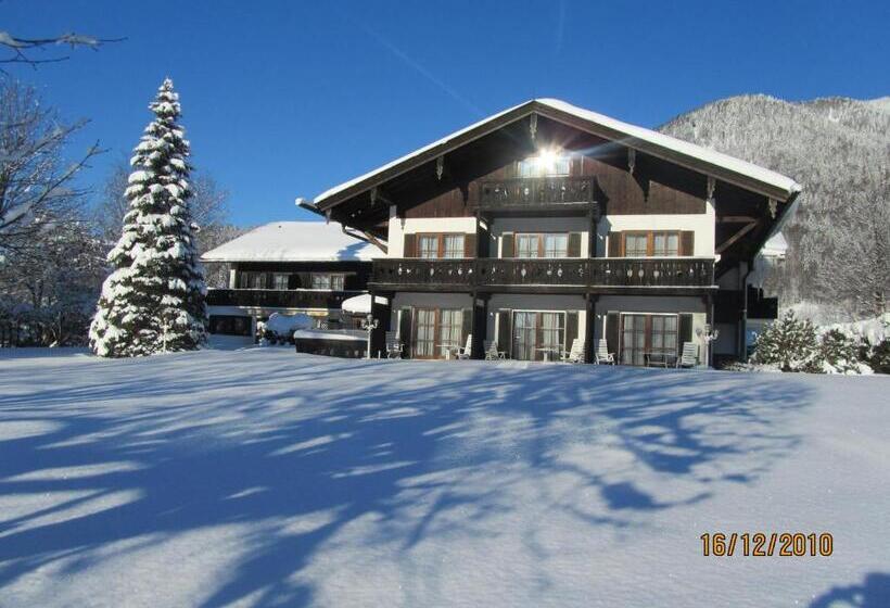 Отель Bachmair Alpina