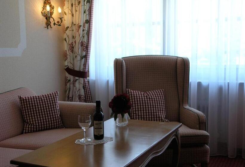 Отель Bachmair Alpina