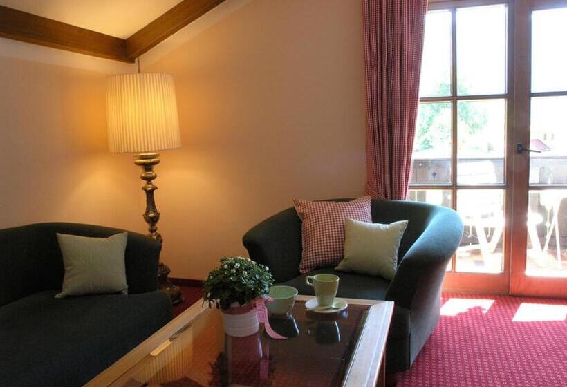 Отель Bachmair Alpina