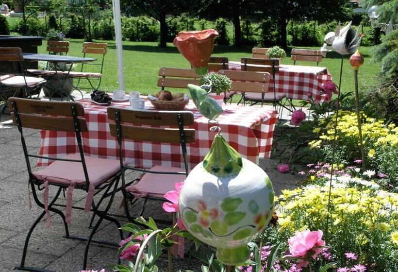 Отель Bachmair Alpina