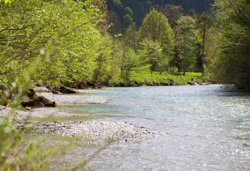 Отель Bachmair Alpina