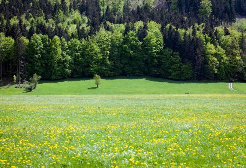 Отель Bachmair Alpina