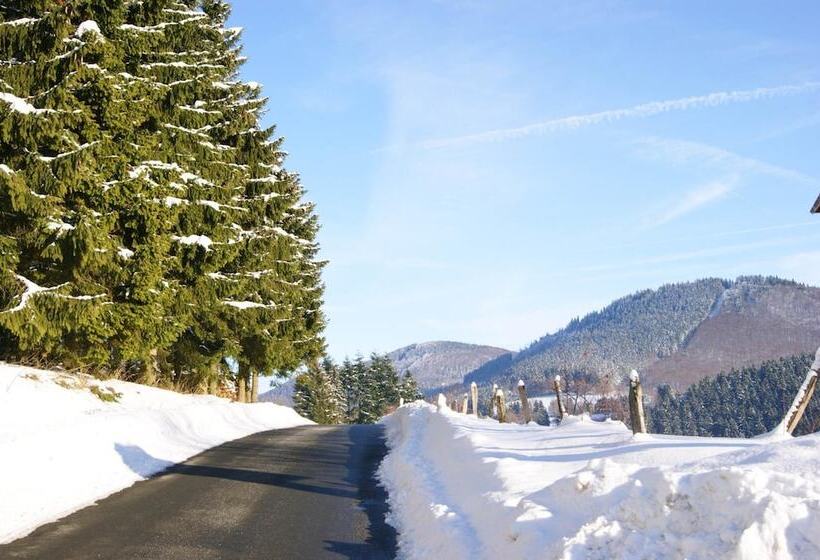 Отель Bed And Breakfast Am Knittenberg