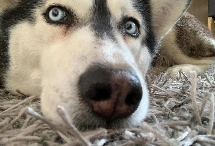 Отель Bettelhaus