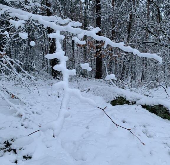 Отель Bettelhaus