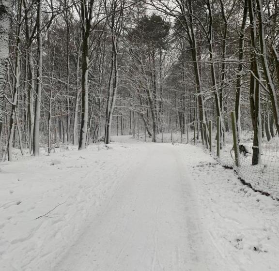 Отель Bettelhaus