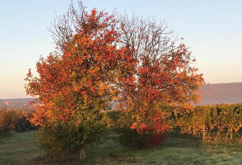 Отель Bettelhaus
