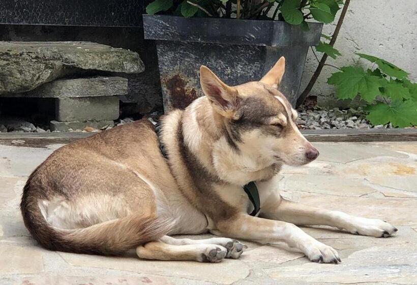 Отель Bettelhaus