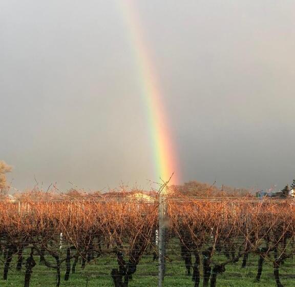 Отель Bettelhaus