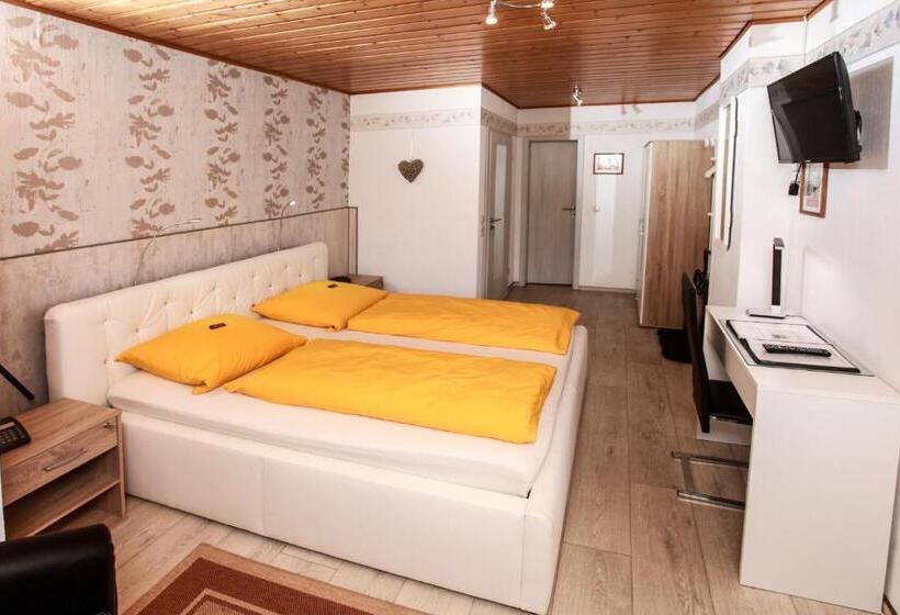 فندق Brunnenbach