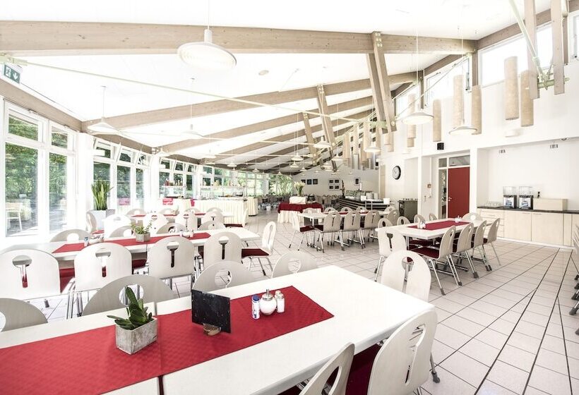 酒店 Cjd Bonn Castell