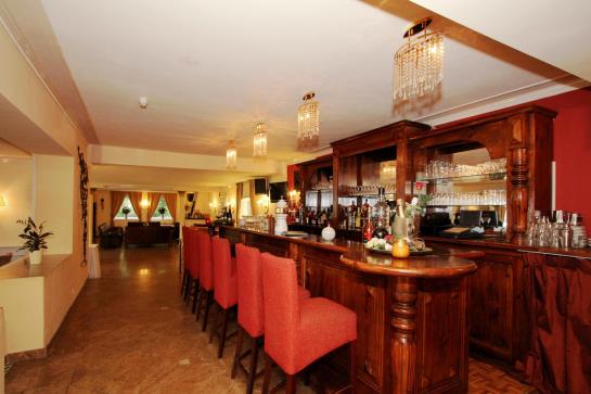 酒店 Das Waldhaus Winterberg