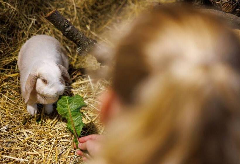 בית מלון כפרי Elldus Resort