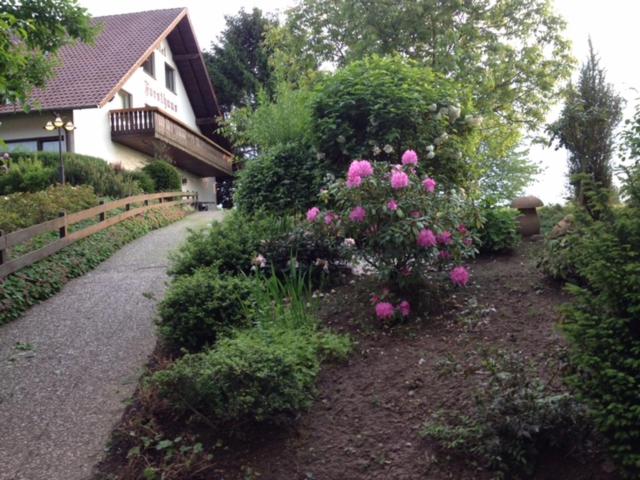 فندق Forsthaus Alter Foerster