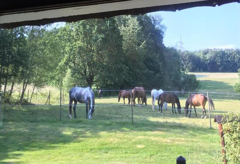 فندق Forsthaus Alter Foerster