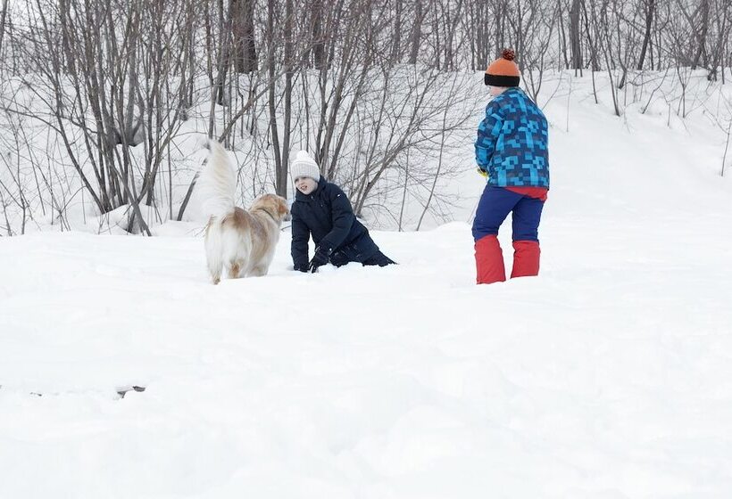 Отель Garni Alte Säge Ruhpolding
