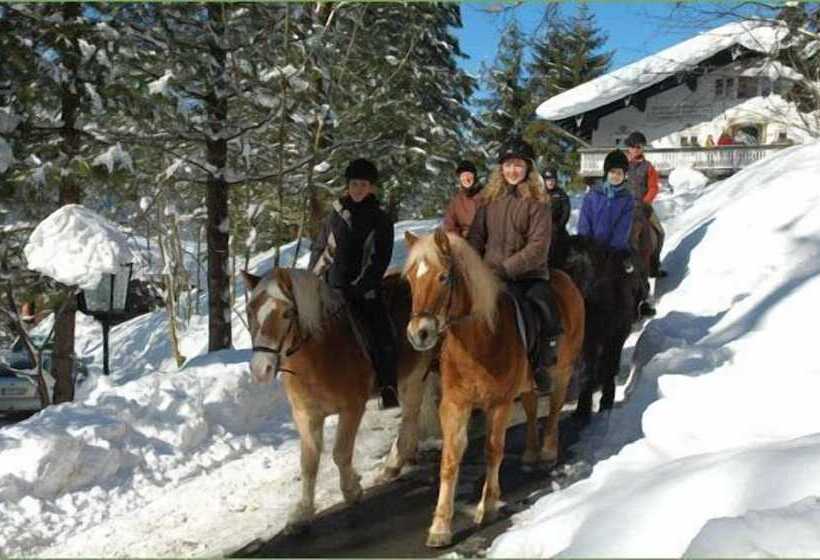 Отель Garni Haus Alpine   Chiemgau Karte Inkl