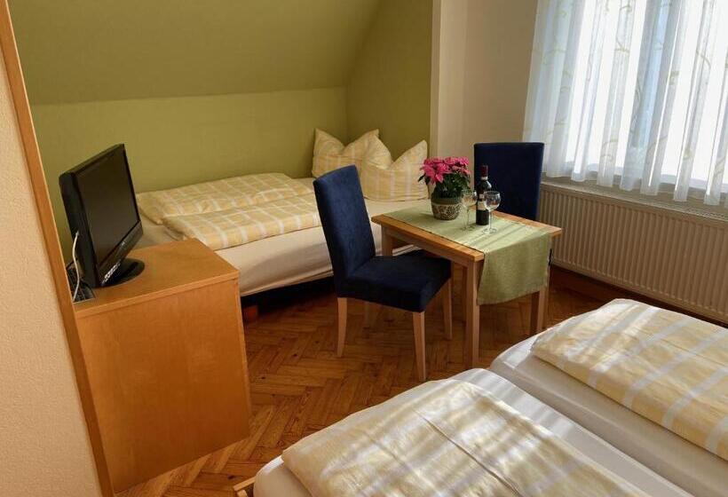 בית מלון כפרי Goldener Löwe