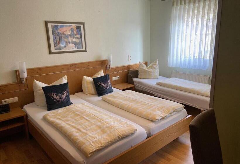 בית מלון כפרי Goldener Löwe