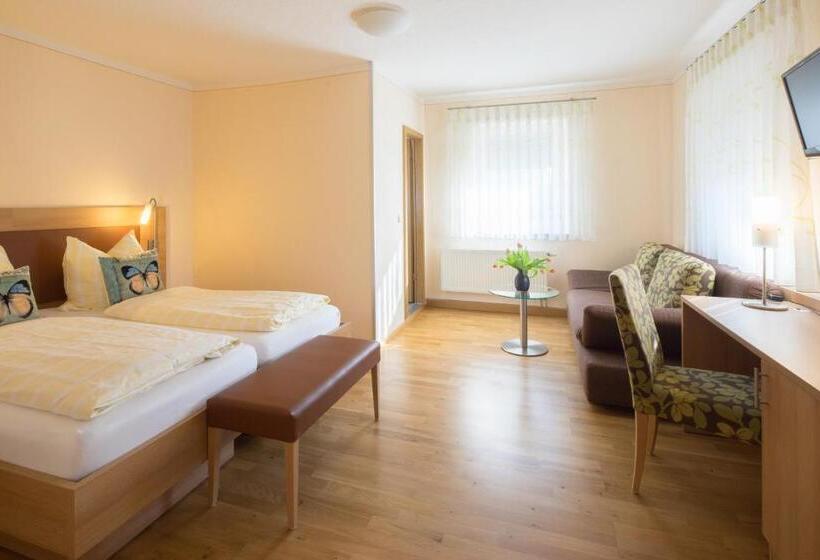 בית מלון כפרי Goldener Löwe