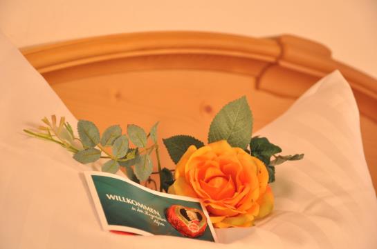 Hotel Hambergers Post