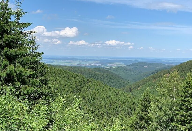 هتل Haus Am Hochwald