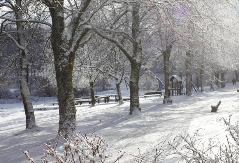 هتل Haus Am Karpfenteich