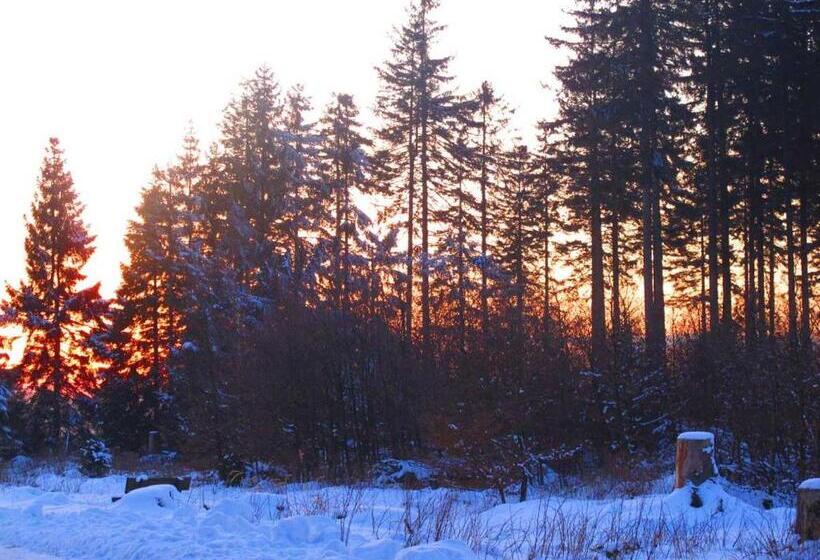 هتل Haus Am Karpfenteich
