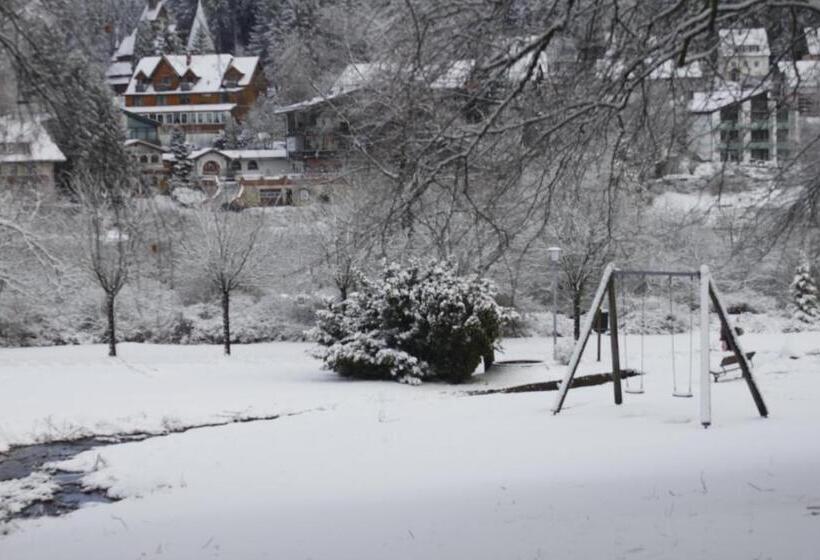 هتل Haus Am Karpfenteich