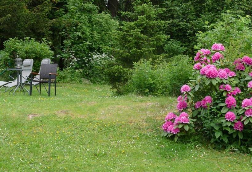 هتل Haus Am Karpfenteich