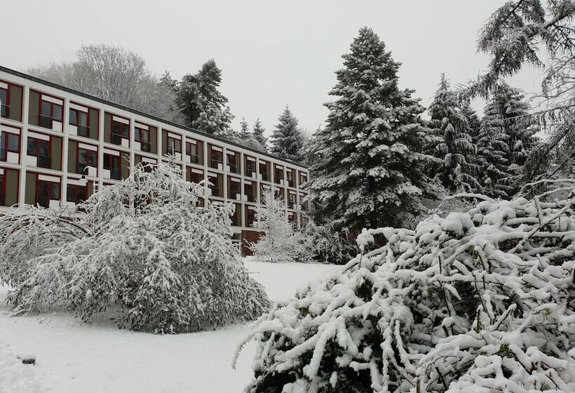 호텔 Haus Marienhof