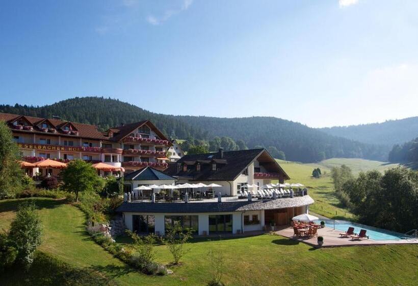 酒店 Heselbacher Hof