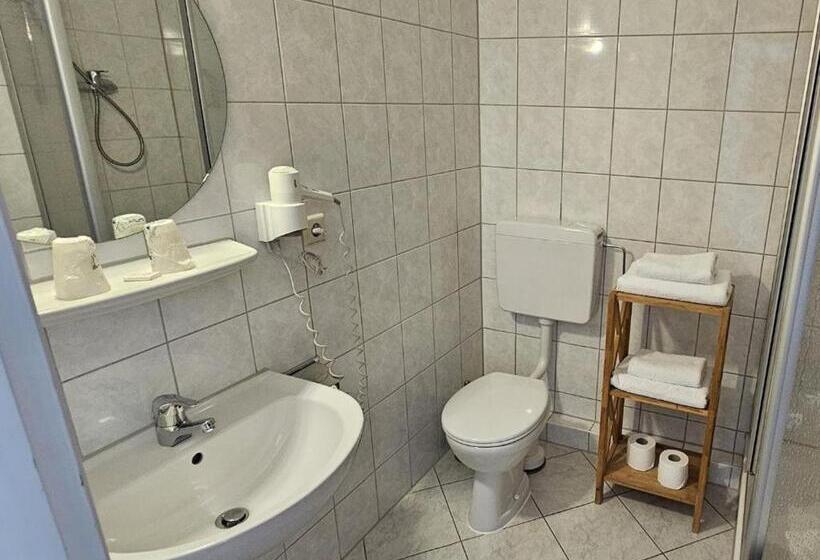 ホテル Hirsch Günzburg