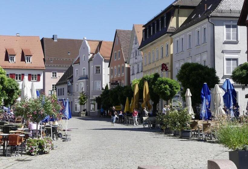 בית מלון כפרי Hirsch Günzburg