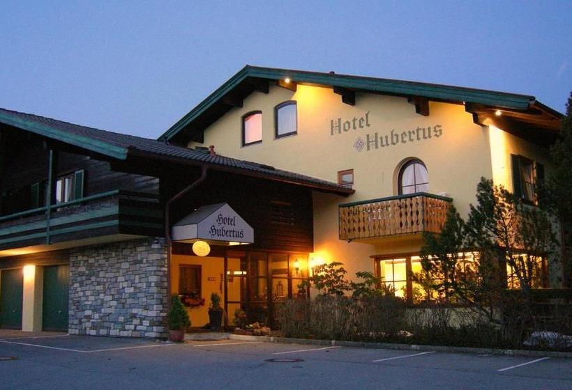 Отель Hubertus Garni