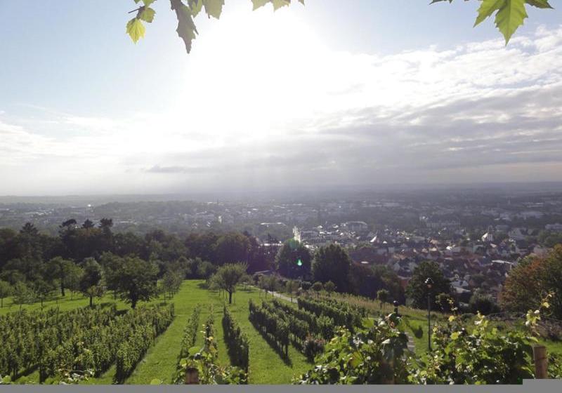 בית מלון כפרי Café Restaurant  Johannisberg