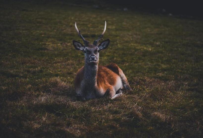 Отель Landhaus Eickler