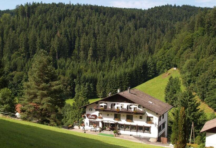 Отель Landhaus Eickler