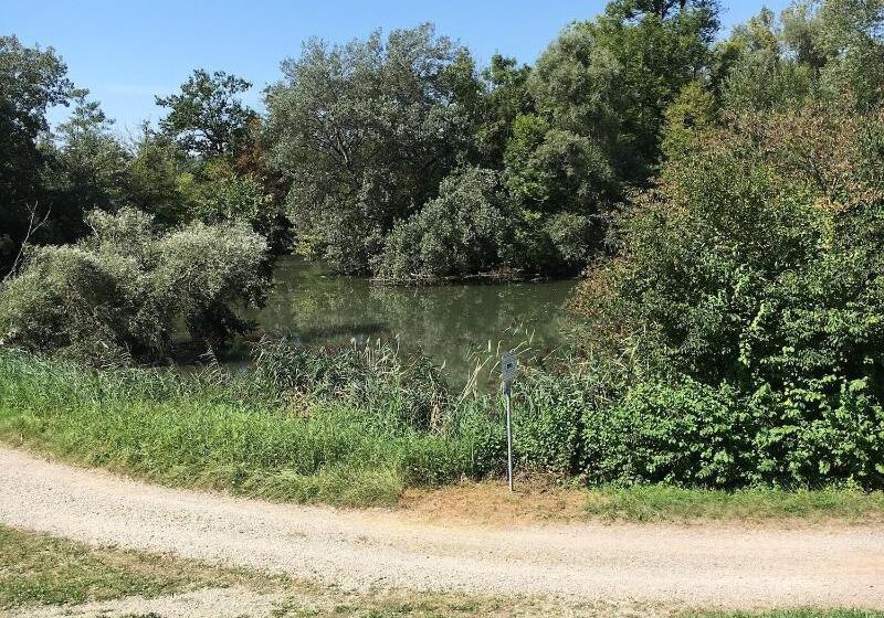 ホテル Lowen Garni B&b