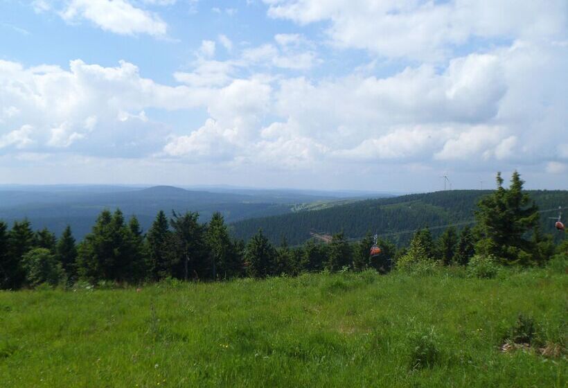 Отель Miriquidi