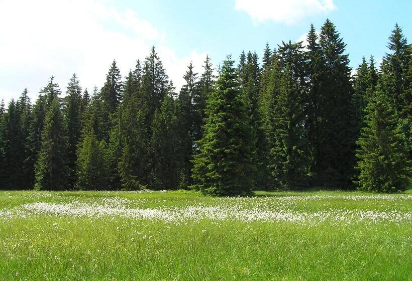 Отель Miriquidi