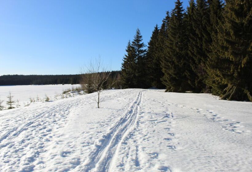 Отель Miriquidi