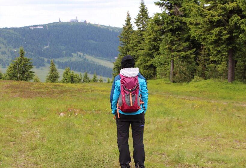 Отель Miriquidi