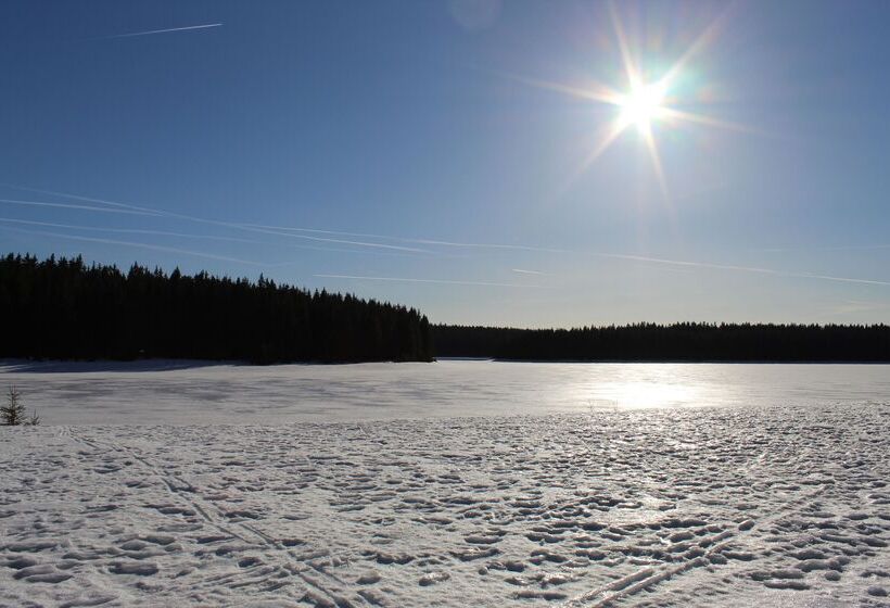 Отель Miriquidi