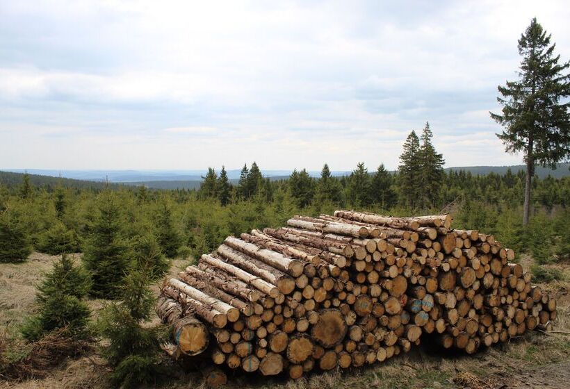 Отель Miriquidi