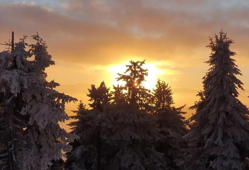 Отель Miriquidi