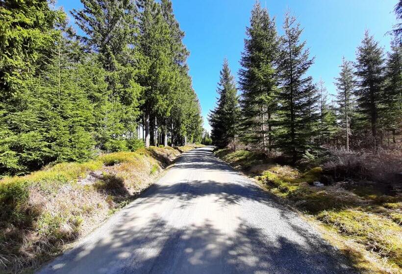 Отель Miriquidi