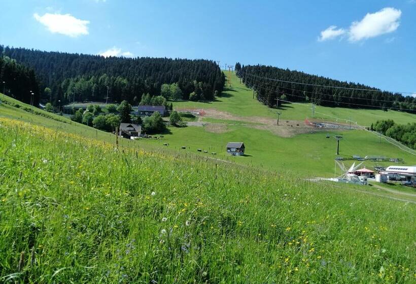 Отель Miriquidi