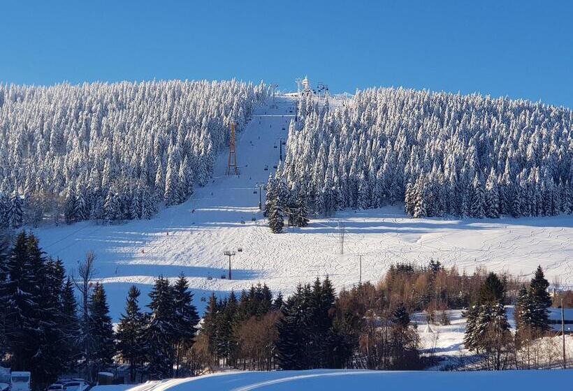 Отель Miriquidi