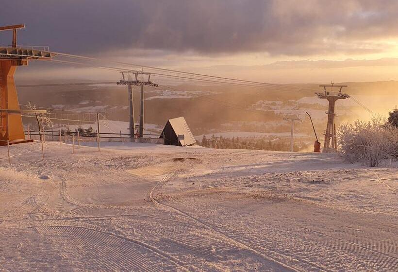 Отель Miriquidi